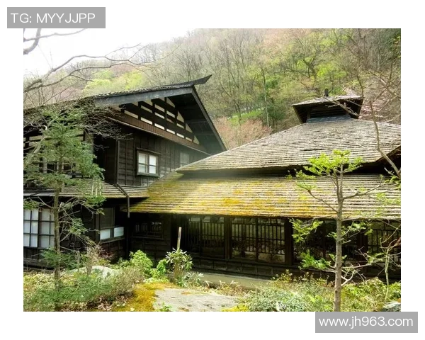 枥木县与群马县温泉的魅力对决探秘日本温泉文化的独特魅力与体验